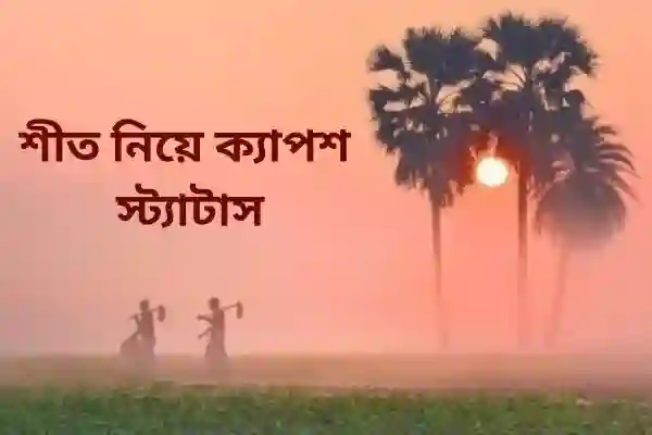 শীত নিয়ে ক্যাপশন, স্ট্যাটাস | শীত নিয়ে রোমান্টিক স্ট্যাটাস | শীত নিয়ে উক্তি