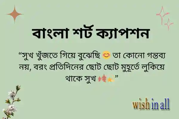 বাংলা-শর্ট-ক্যাপশন-ফিচার- wp